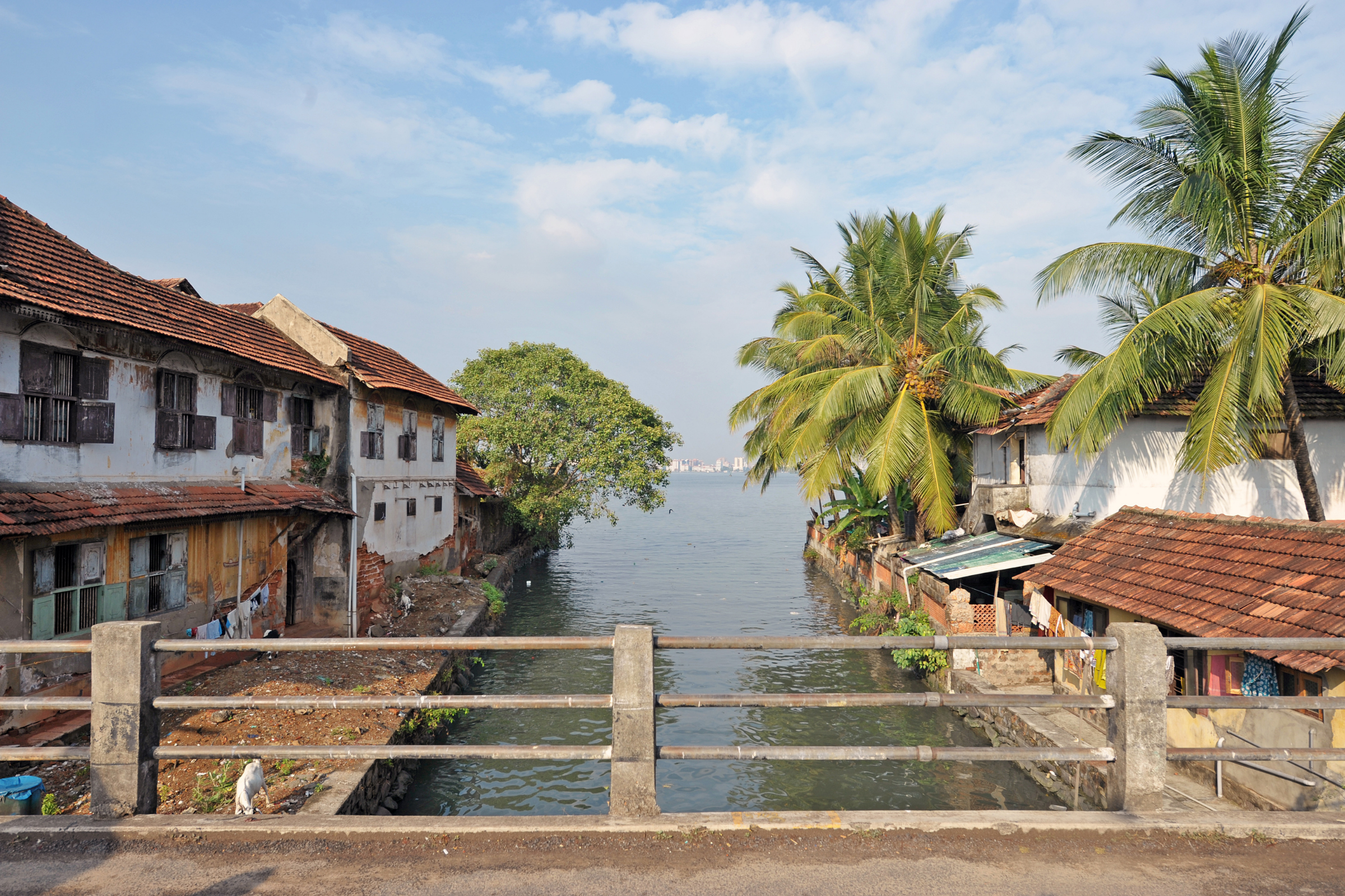 kochi (2).webp
